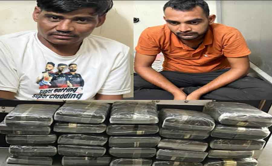 CID seized 31 kg 500 grams of ganja in Jhunjhunu