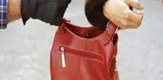 चलती स्कूटी पर झपट्टा मारकर पर्स लूटा