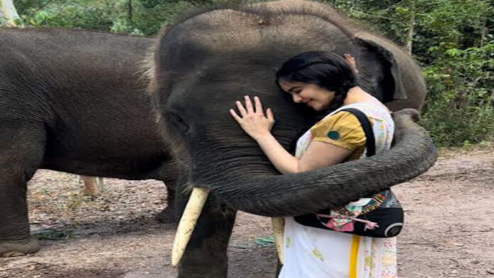 Bathing elephants is a full body workout for me: Adah Sharma