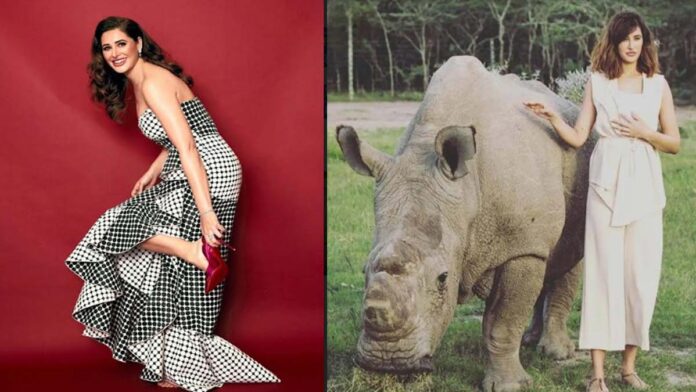 Nargis Fakhri wanted to become a veterinarian in her childhood