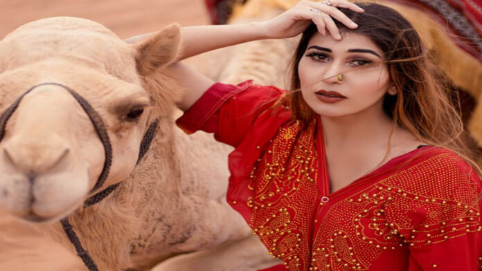 Ruma Sharma's new song launched with Pakistani singer Naseebo Lal