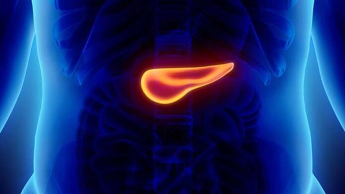 World Abdominal Cancer Day