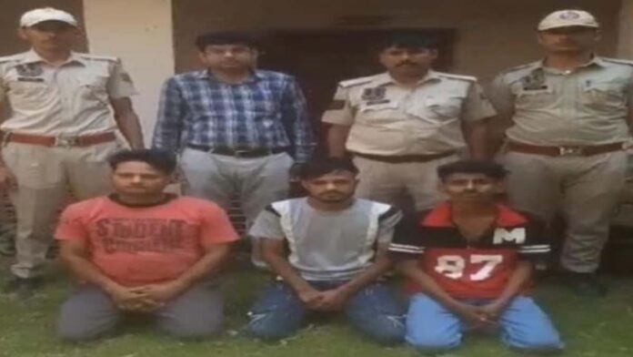 Three robbers who stole chains from women walking on the street arrested