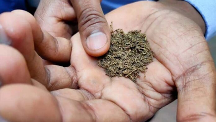 Tobacco is the leading cause of cancer in the world