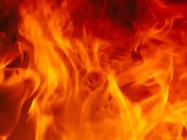 गत्ते के गोदाम में भीषण आग: आठ दमकलों ने दो घंटे में पाया काबू