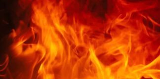 गत्ते के गोदाम में भीषण आग: आठ दमकलों ने दो घंटे में पाया काबू