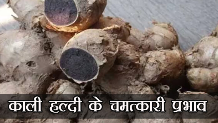 Miraculous effects of black turmeric