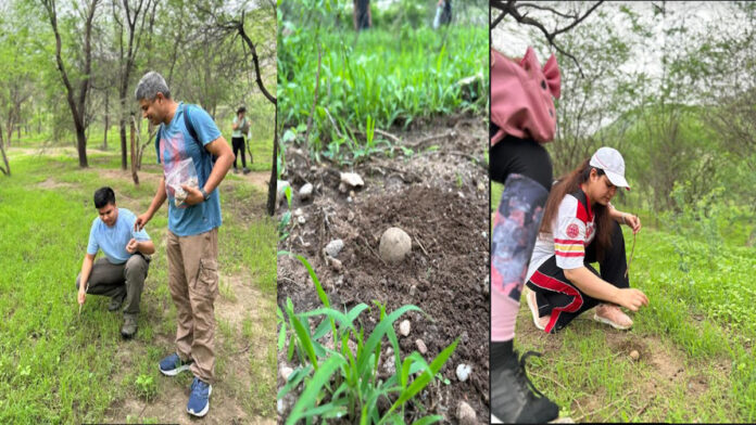 Mission of Paudh Foundation and Blue Monkeys 50000 Seed Balls