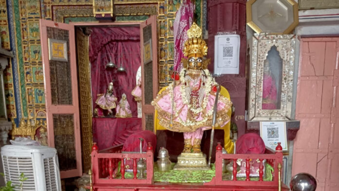 Rath Yatra festival celebrated in Shri Sitaram Ji temple