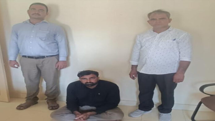 SOG arrested the accused who helped in making fake degree