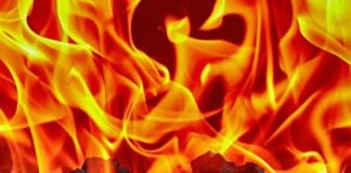 आइसक्रीम फैक्ट्री में लगी भीषण आग, फैक्ट्री में रखे तीन एलपीजी सिलेंडर फटने से बचे