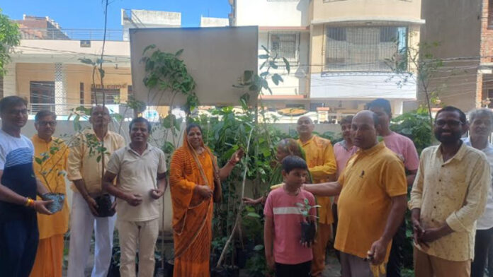 Hariyali Amavasya: Plantation done in memory of ancestors