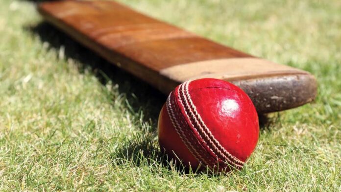 Corporate Box Cricket League, a game-changing initiative by JHW for health and wellness on 30th August