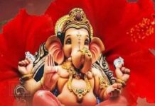 संकष्टी चतुर्थी:महिलाओं ने व्रत रखकर भगवान गणेश और चौथ माता की पूजा-अर्चना Women kept fast on Sankashta Ganesh Chaturthi