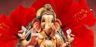 संकष्टी चतुर्थी:महिलाओं ने व्रत रखकर भगवान गणेश और चौथ माता की पूजा-अर्चना Women kept fast on Sankashta Ganesh Chaturthi