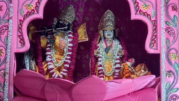 Pink Kunj tableau decorated in Shri Radha Damodar temple