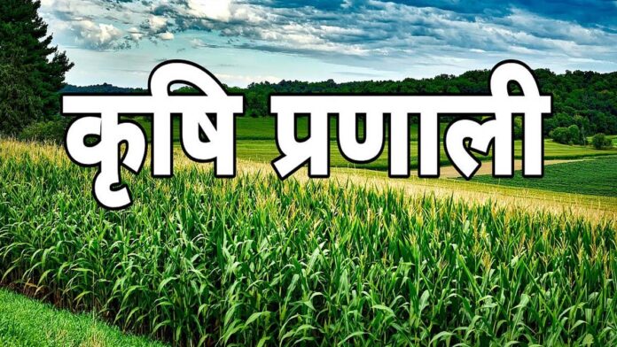 'Rasi Mitra' program is promoting latest agricultural systems in North India