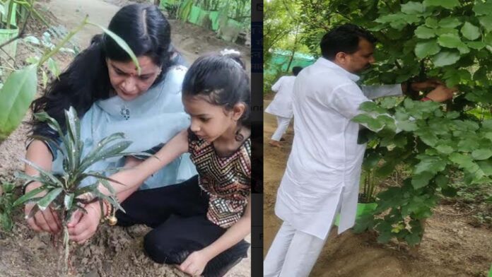 Unutha Raksha Bandhan celebrated by tying Raksha Sutra to trees