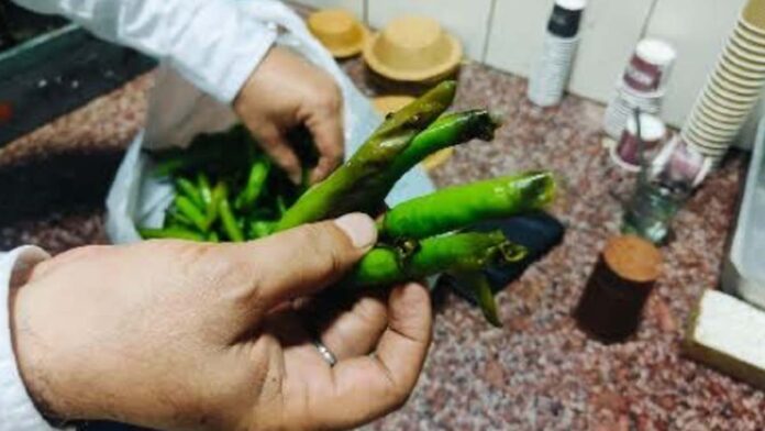 Food Safety Department team raided the canteens and shops of Rajasthan High Court premises