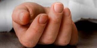 बिजली लाइन पर झुलसने से कार्मिक की मौत