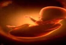 नवजात भ्रूण मिलने से मचा हड़कंप bhr