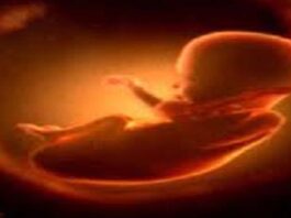 नवजात भ्रूण मिलने से मचा हड़कंप bhr