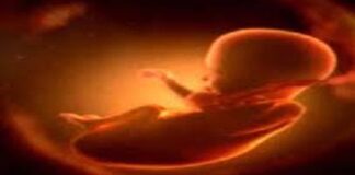 नवजात भ्रूण मिलने से मचा हड़कंप bhr