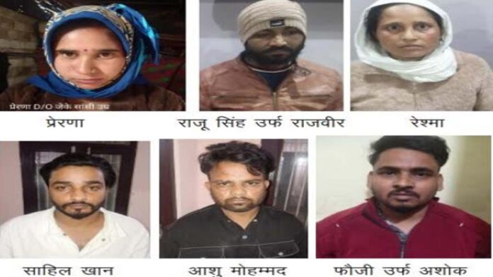 CST seizes illegal drugs worth Rs 8.79 lakh