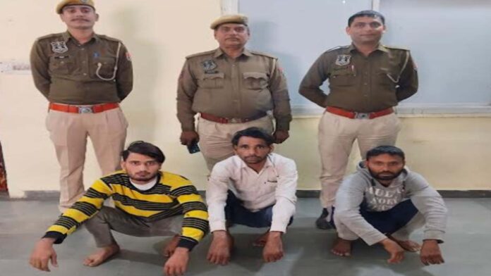 Three smugglers of Mewat's notorious Meo gang, who stole cattle, were arrested