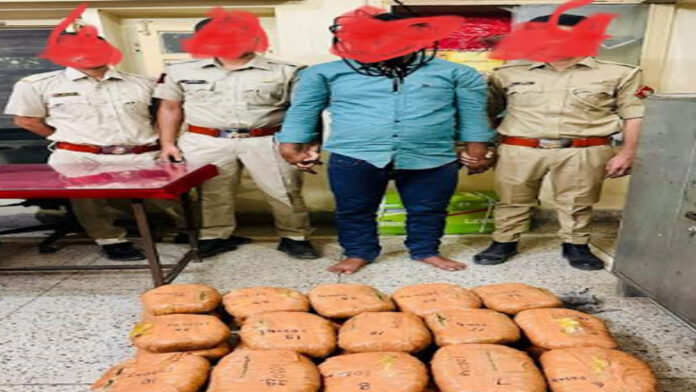 Central Narcotics Bureau seizes illegal marijuana