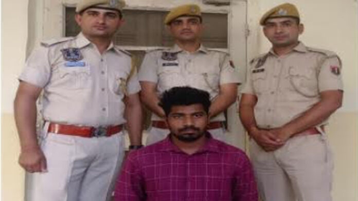 A fraudster who committed a cyber fraud of Rs 3.36 crore in the name of investment in online share market has been arrested