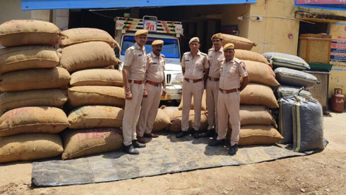 12 quintals and 53 kgs of illegal poppy husk worth Rs 1.87 crore seized