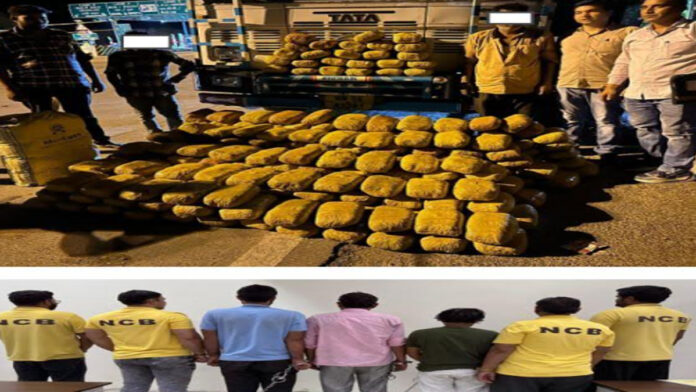 Narcotics Control Bureau seizes 300 kg of ganja worth Rs 1.48 crore