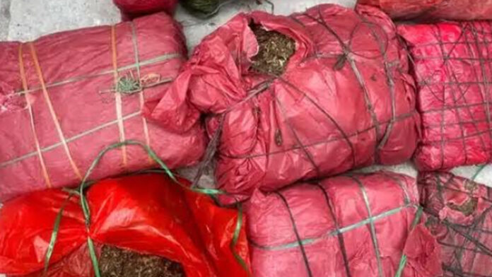Central Bureau of Narcotics seizes 48 kg of ganja