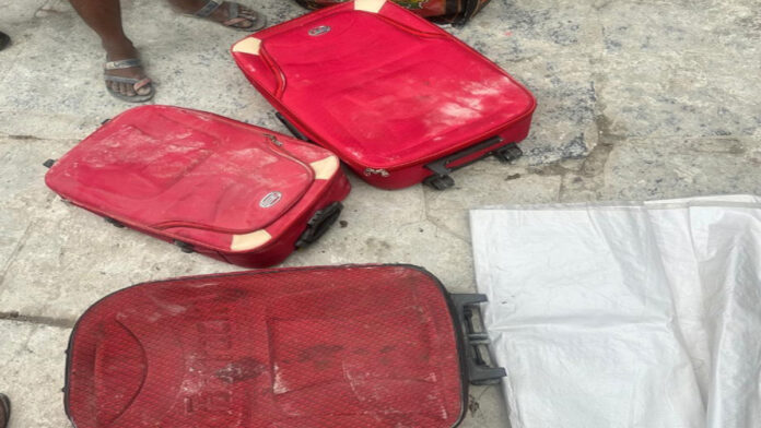 The team of Central Narcotics Bureau seized 11.120 kg of illegal ganja in a raid