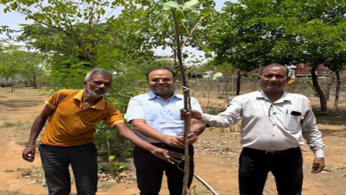 50 Peepal and Banyan trees were planted in Bairathi Park