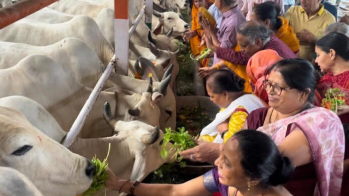 Geeta family offered 56 bhogs to mother cow
