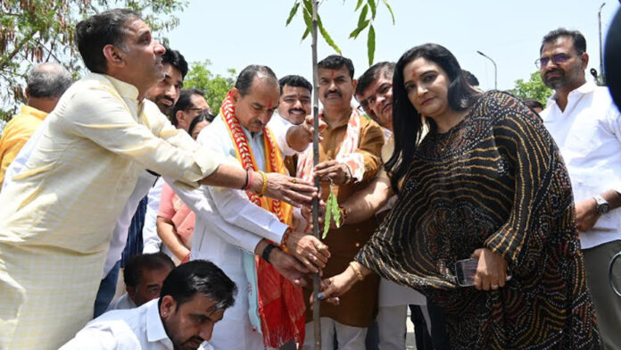 Plant as many trees as possible during monsoon: Madan Rathore