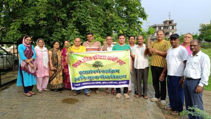 Plants planted under tree plantation program