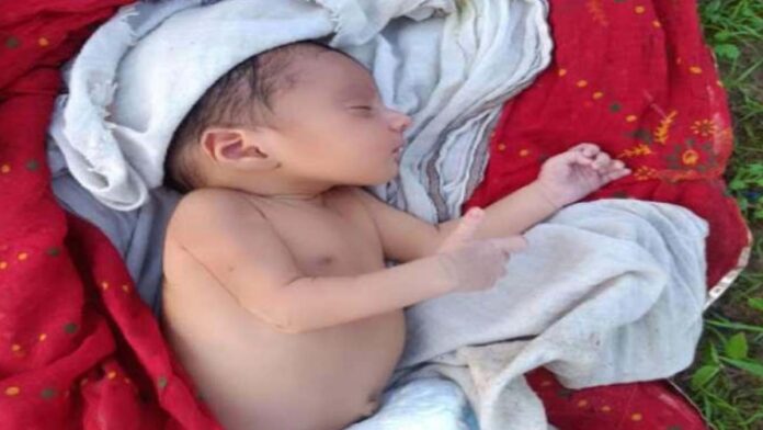 Fifteen-day-old newborn baby found in bushes