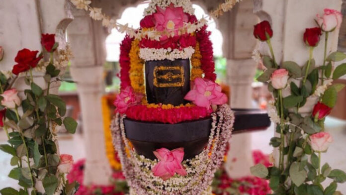 Free Parthiv Shiv Puja on 13th July by Dharma Raksha Samiti