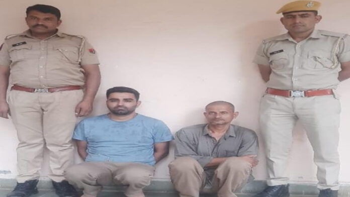 Two arrested with 14 illegal weapons and 1,860 cartridges