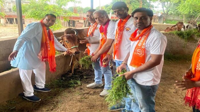Cow service work organized at Omashray Gaushala