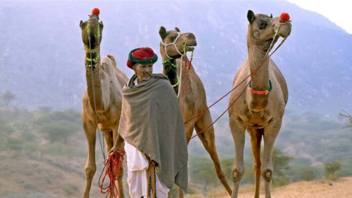 Photography Maha Kumbh on World Photography Day on 24th August