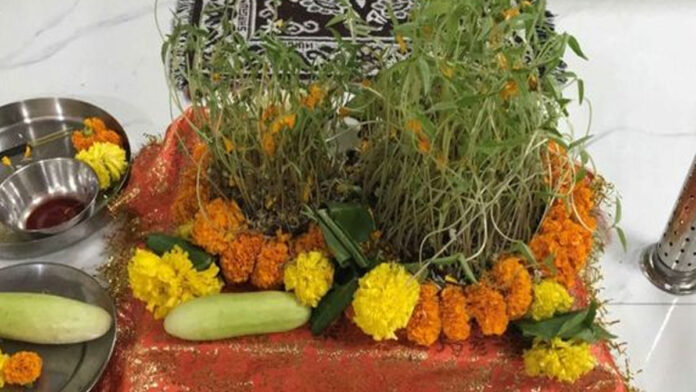 Married women of Sindhi community will celebrate Teejri festival
