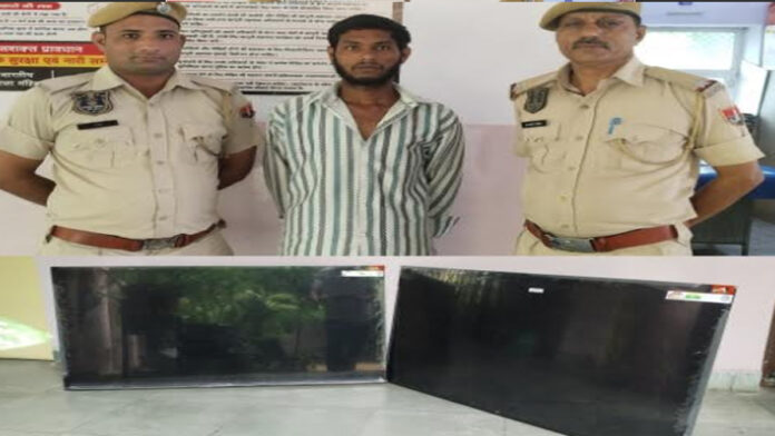 The police nabbed the clever burglar