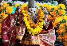 20 अक्टूबर को सजेगा दरबार: 400 कन्याओं और बटुकों का होगा पूजन