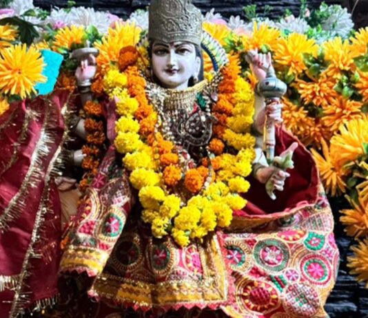 20 अक्टूबर को सजेगा दरबार: 400 कन्याओं और बटुकों का होगा पूजन