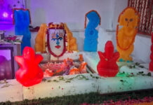 वीर तेजाजी धाम मंदिर में तेजेश्वर महादेव मंदिर एवं श्रीराम दरबार का प्रथम पाटोत्सव आज