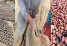 दीपावली का त्यौहार आते ही कुम्हारों के चाक ने पकड़ी रफ्तार